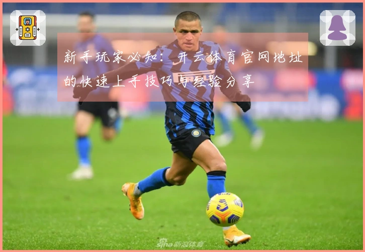 新手玩家必知：开云体育官网地址的快速上手技巧与经验分享