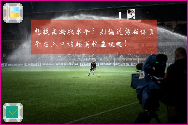 想提高游戏水平？别错过熊猫体育平台入口的超高收益攻略！